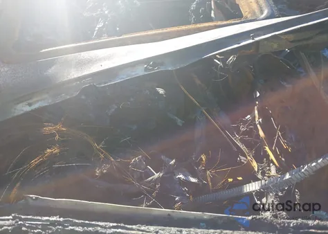 2016 BMW 740I из США, поврежденный, VIN WBA7E2C54GG503824